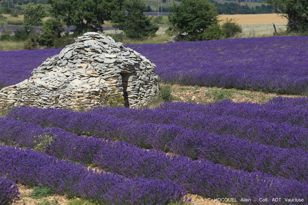Country house Les Terrasses - Gordes