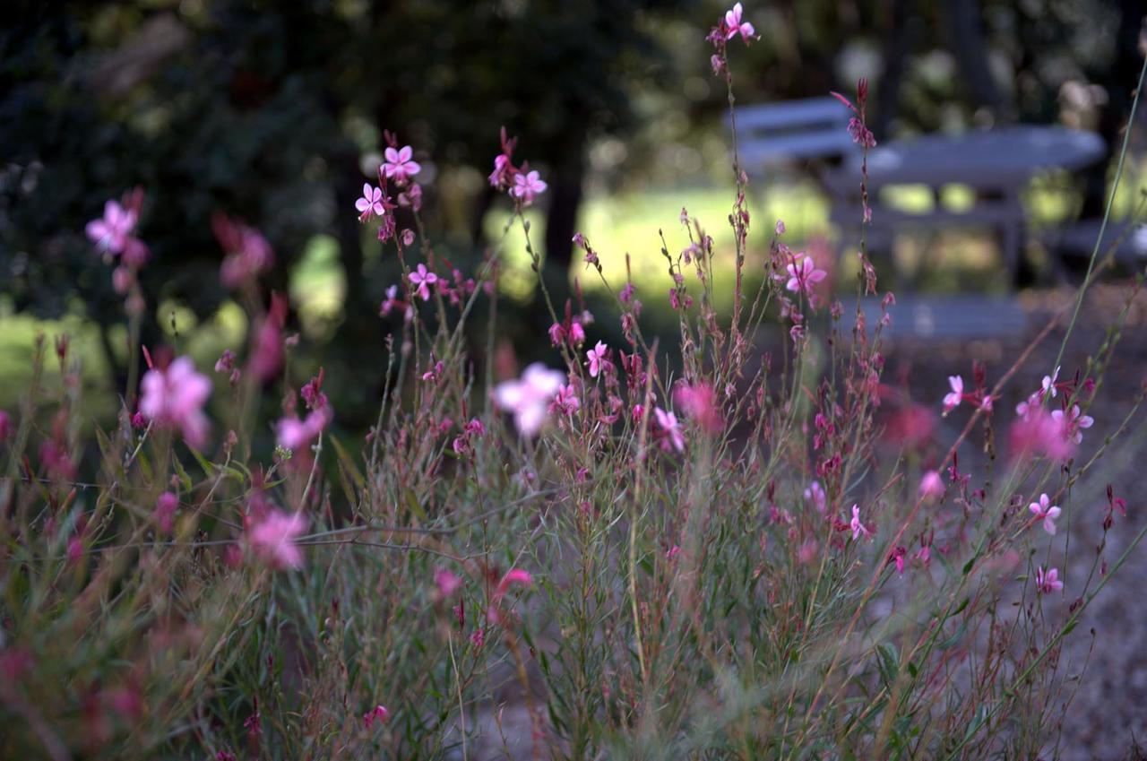Les Terrasses -