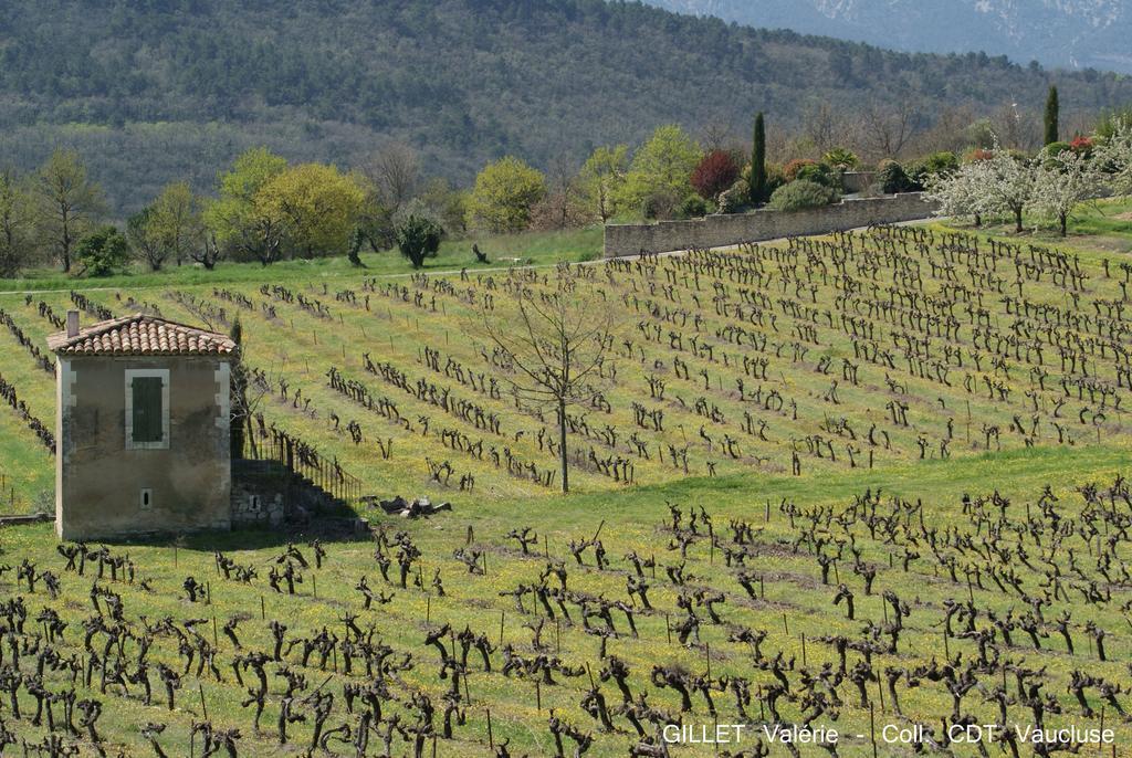 Les Terrasses -